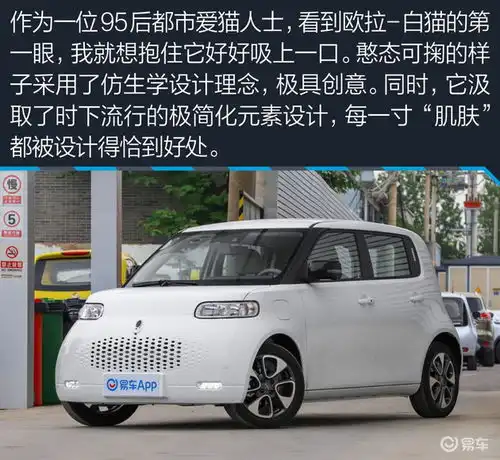 这只小猫值得一吸95后女生解析欧拉白猫