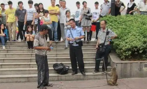 全国多半的耍猴人出自此地,同行莫问行踪,出门说黑话,人猴平安