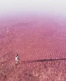 少女心的澳洲粉红湖,已经消失一个了,再不去就晚了