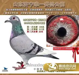 山东济宁唯一赛鸽公棚二期电话拍卖图片欣赏100名以前