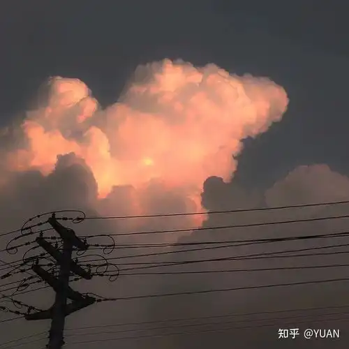 爱情是调味剂而不是跳跳糖