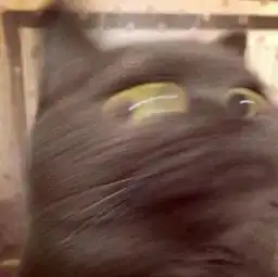 会员福利送金钞啦节日礼物我们为您准备