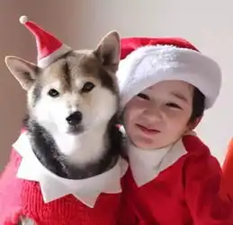 看了日本摄影师记录家人与宠物的有爱瞬间,我知道世界还会好的