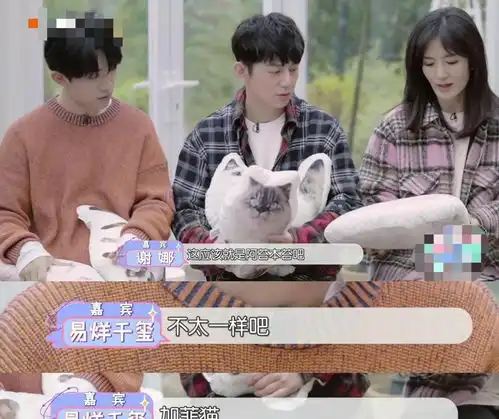 易烊千玺新节目上线,亲自辟谣二十失宠记,猫系少年实锤