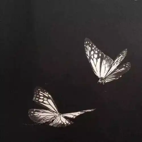 当你决定等待,那就等待吧只要这是能让你高兴的事情爱情