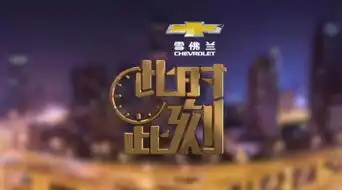 山东治愈系节目元旦开播此时此刻记录真实