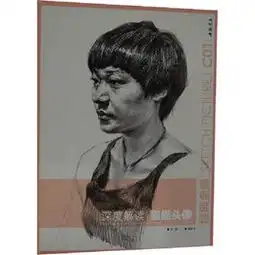 深度解读素描头像,杨建飞主编图书苏宁易购