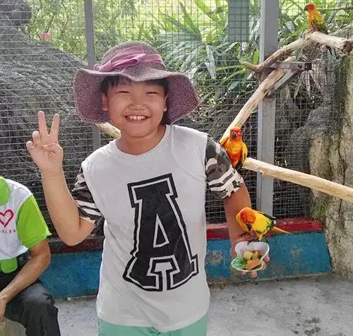 争做优秀少先队员,向国庆献礼