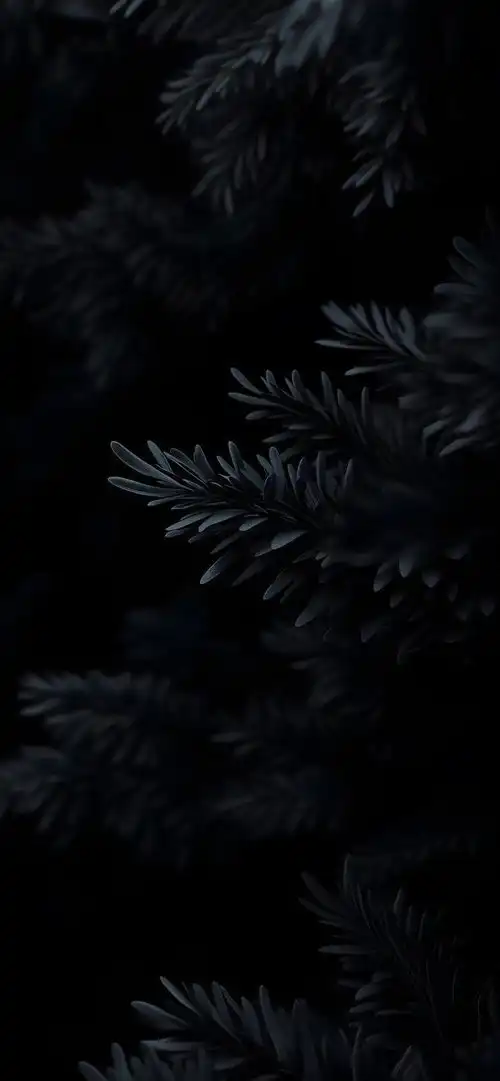 深色系,高级感满满手机壁纸桌面壁纸