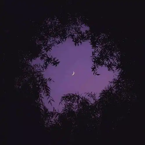 治愈系的头像背景壁纸微