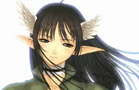 光明之风设定集下