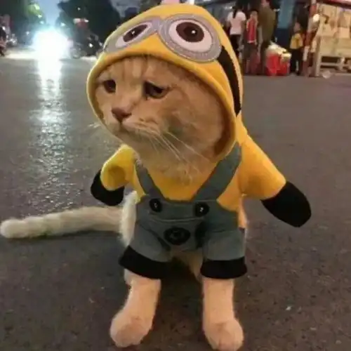 女生最讨厌的3个qq表情,都是男生的最爱,傻小子快住手