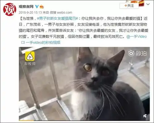 男子为讨女友欢心去宠物店偷猫你咋不去抢银行送女友500万