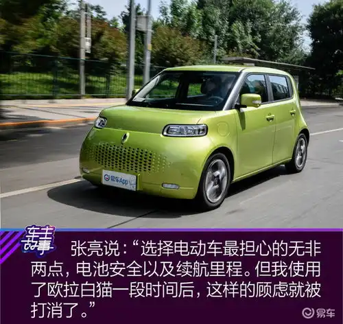 猫系青年的欧拉白猫深度吸猫指南