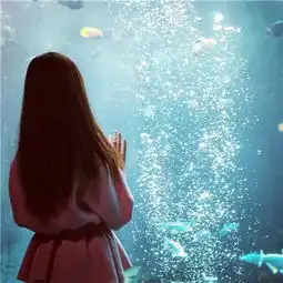 丧系小众头像面向大海真