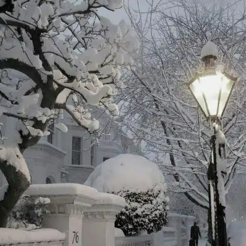 雪天背景图冬天到了换一组漫天飞雪氛围感十足