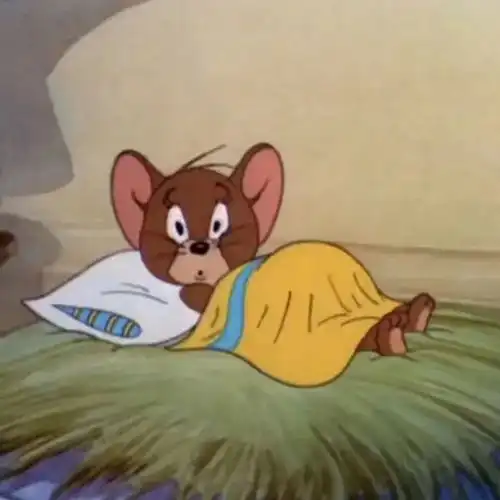 文案热爱生活的文案