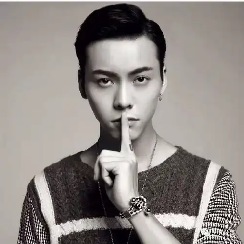 禁欲系男头像动物陈伟霆