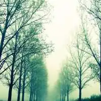 平安健康微信头像风景