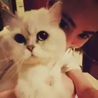 男生抱猫头像背影微信头像图片大全