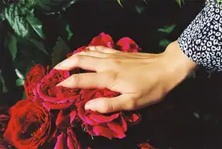 日系小清新图片陌生的风景