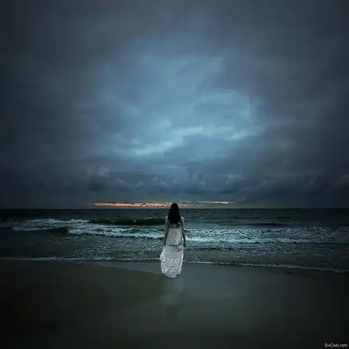 川总的相册michak我的心是一片孤独的荒原