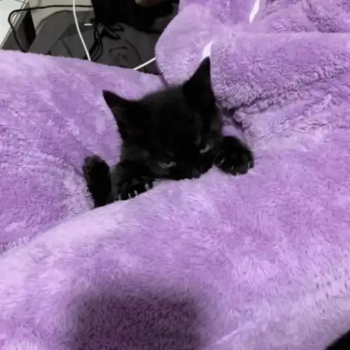 背景图爱意藏不住眼里总有光