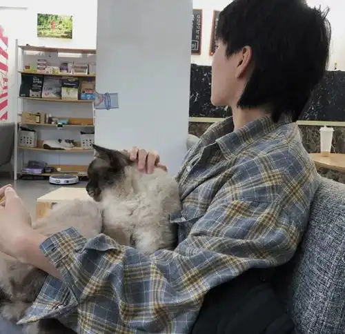 文案收集无关爱情却一眼看哭的文案