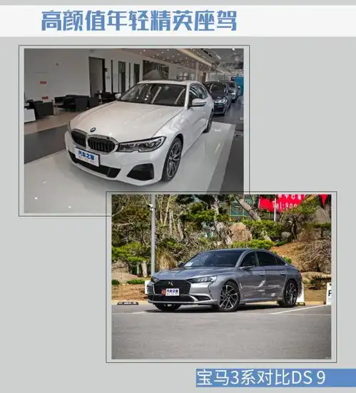 高颜值年轻精英座驾宝马3系对比ds9