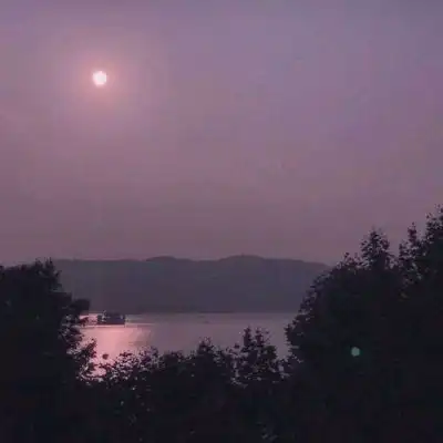 我爱你如鲸向海鸟投林不可避卡通动漫头像我要个性网