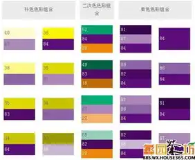 紫色的花配什么颜色的纸好看