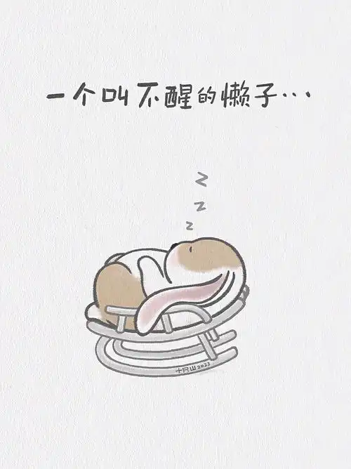 去年跨年爬墙虎,今年跨年爬墙兔来啦