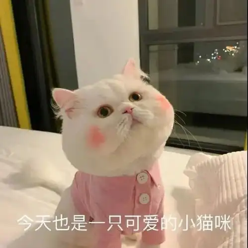 沙雕表情减肥的你