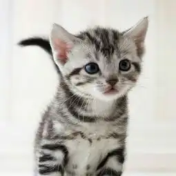 171207期做个明白人