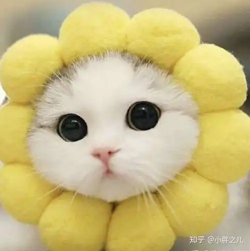 你们看到过最丧的句子是什么