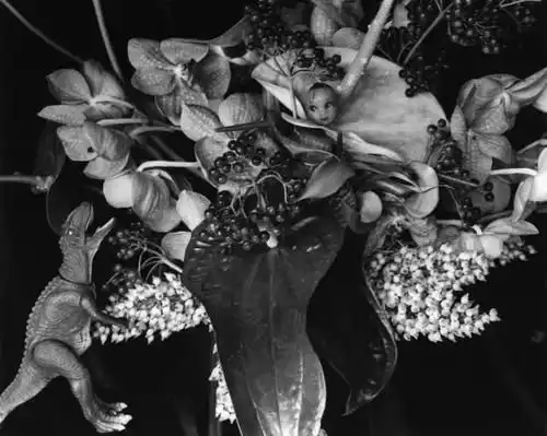 十万个冷知识三百六十四