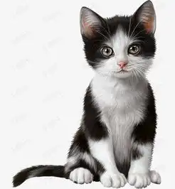 卡通小猫素材图片免费下载高清png千库网图片编号8227485