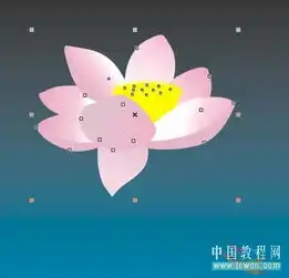 coreldraw基础教程卡通风格荷花绘制2