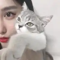 欧美系头像女抱猫少女