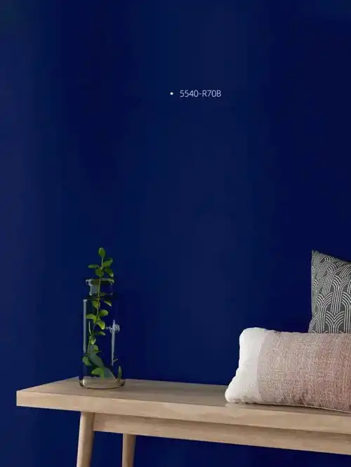 克莱因蓝色系头像情绪