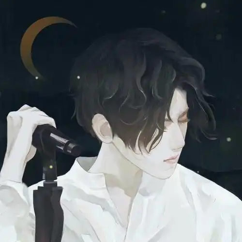 熄灭你眼中的光二次元男头插画