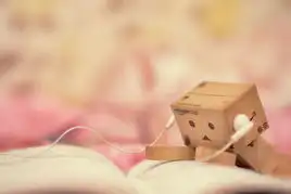 治愈系小清新亚马逊小盒子的幸福生活