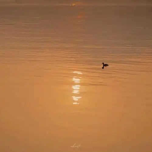 背景图治愈系朋友圈背景图