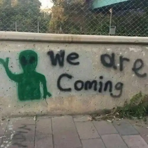 干净的背景图ins风绿色系新的唯美图片我要个性网