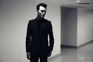 高清王凯禁欲系写真曝光大气沉稳显成熟魅力