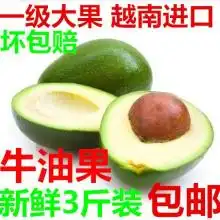 2019牛油果价格行情批发多少钱牛油果图片第8页黄页88水果批发网