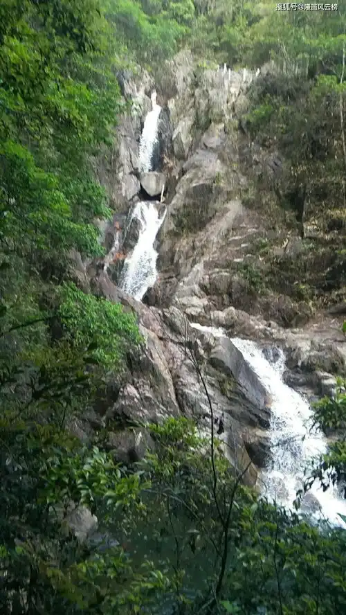 峡谷风云榜禁欲系宅首选番,老二次元面红耳赤