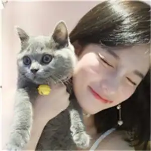 女生抱着猫很酷的头像美女与猫你到底喜欢那个