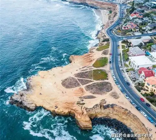 美国一奇怪动物,头像野猫却是狐狸身子,为躲避天敌1年挖100个洞