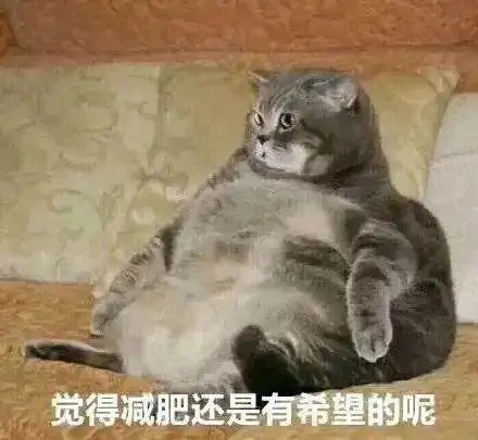 合法但有病的发疯小猫表情包